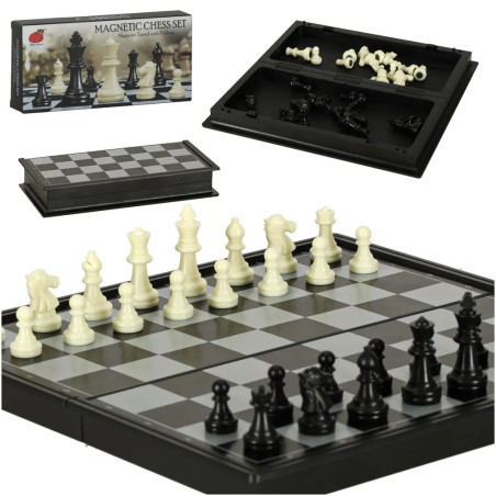 Magnetic Chess and Checkers Puzzle Game