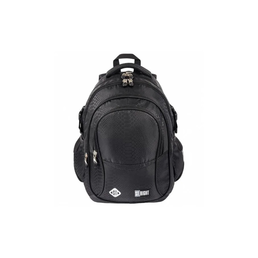 Glitter Snake 4 Compartment 17" School Backpack