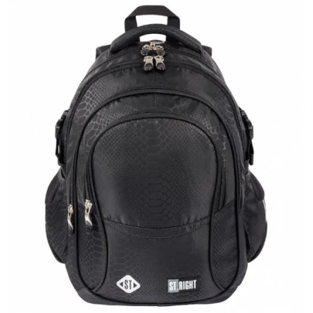 Glitter Snake 4 Compartment 17" School Backpack