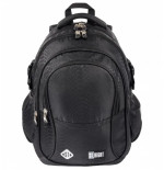 Glitter Snake 4 Compartment 17" School Backpack